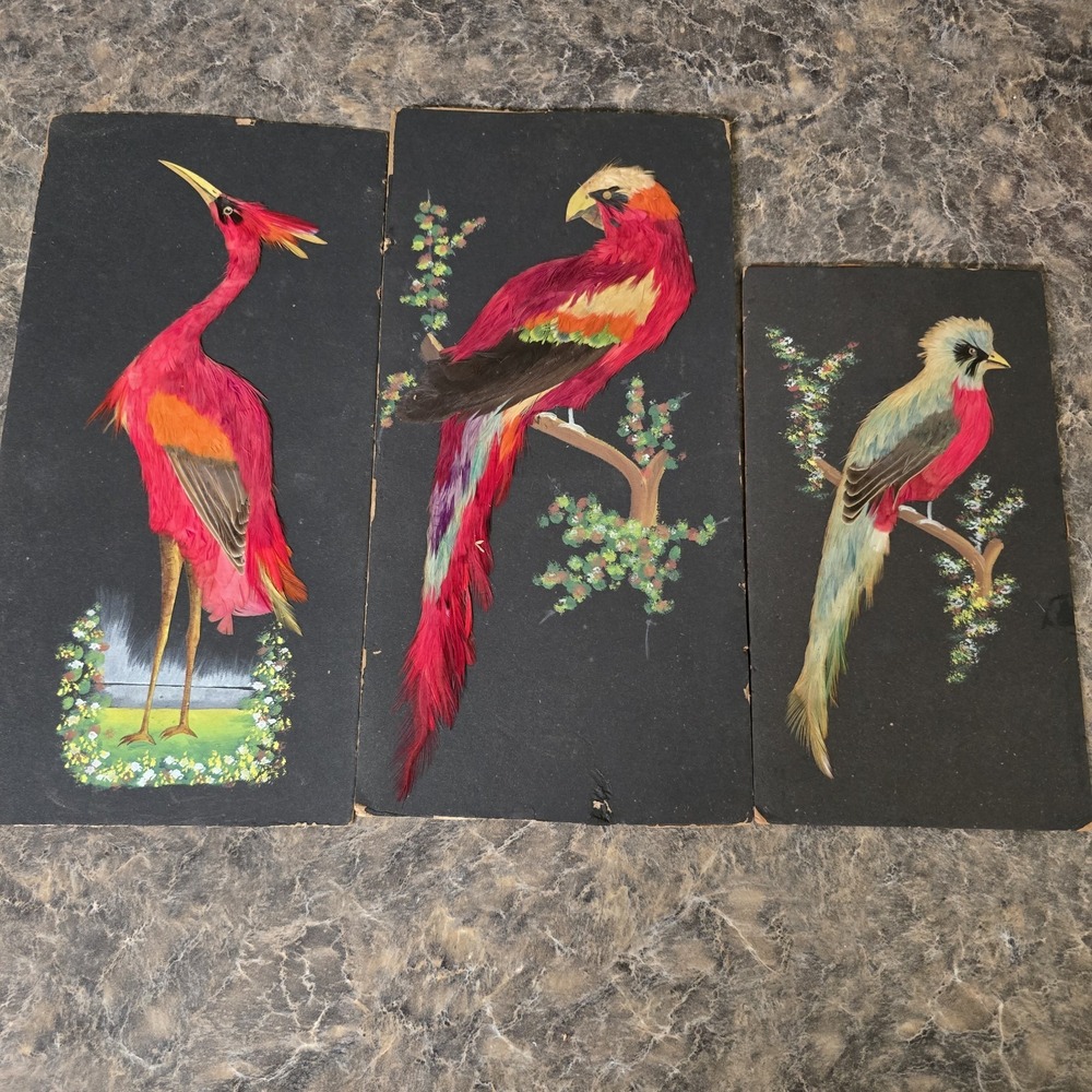 Vintage Mexican Feathercraft Bird Art Set 3 Real Feathers Folk Art Wall Decor